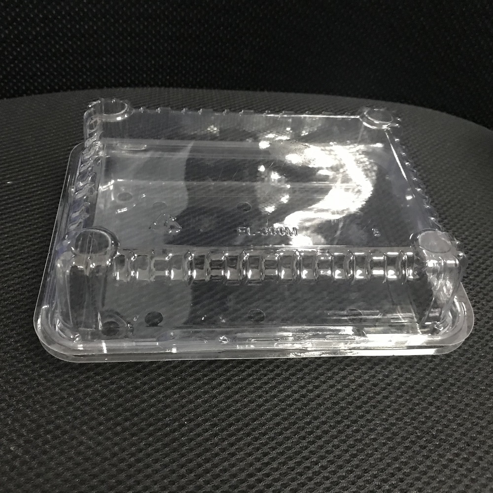 Disposable PET fruit and vegetable box