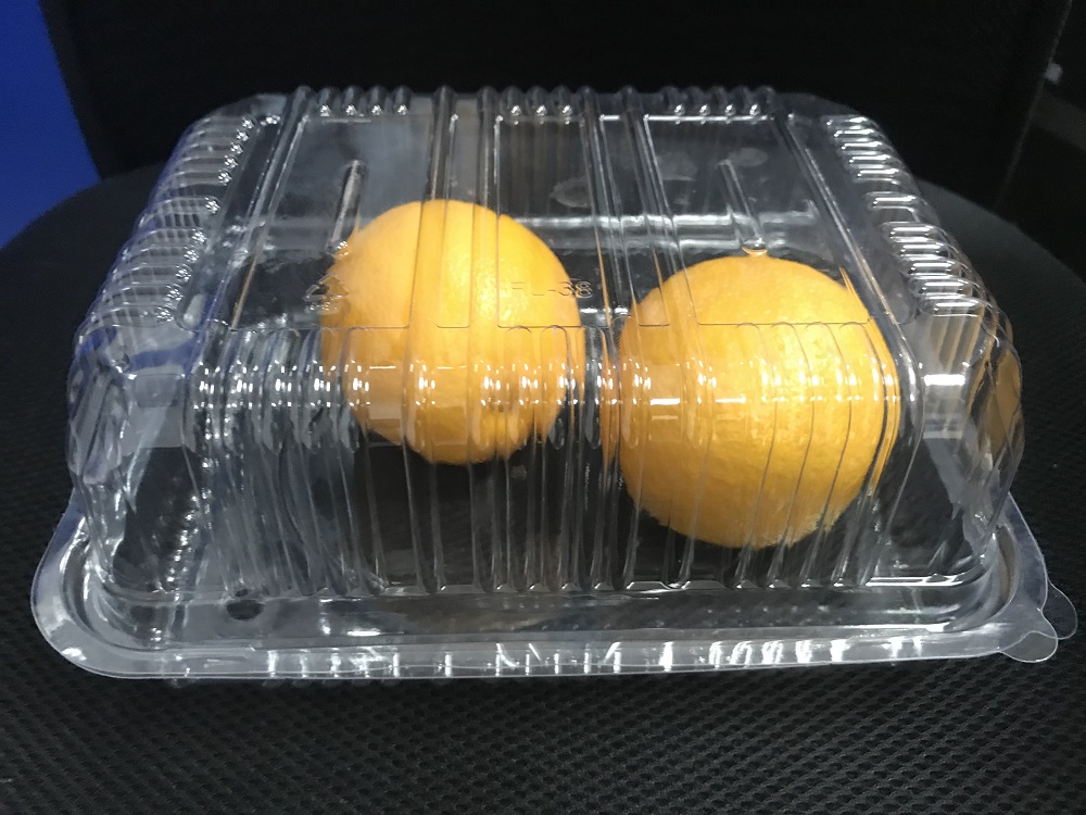 Disposable PET fruit and vegetable container