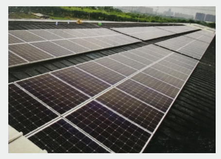Zhejiang Doyin Technology Co., Ltd. – bombilla led 1
