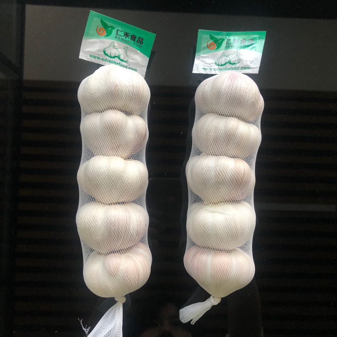 New Season Super Quality Fresh White Garlic