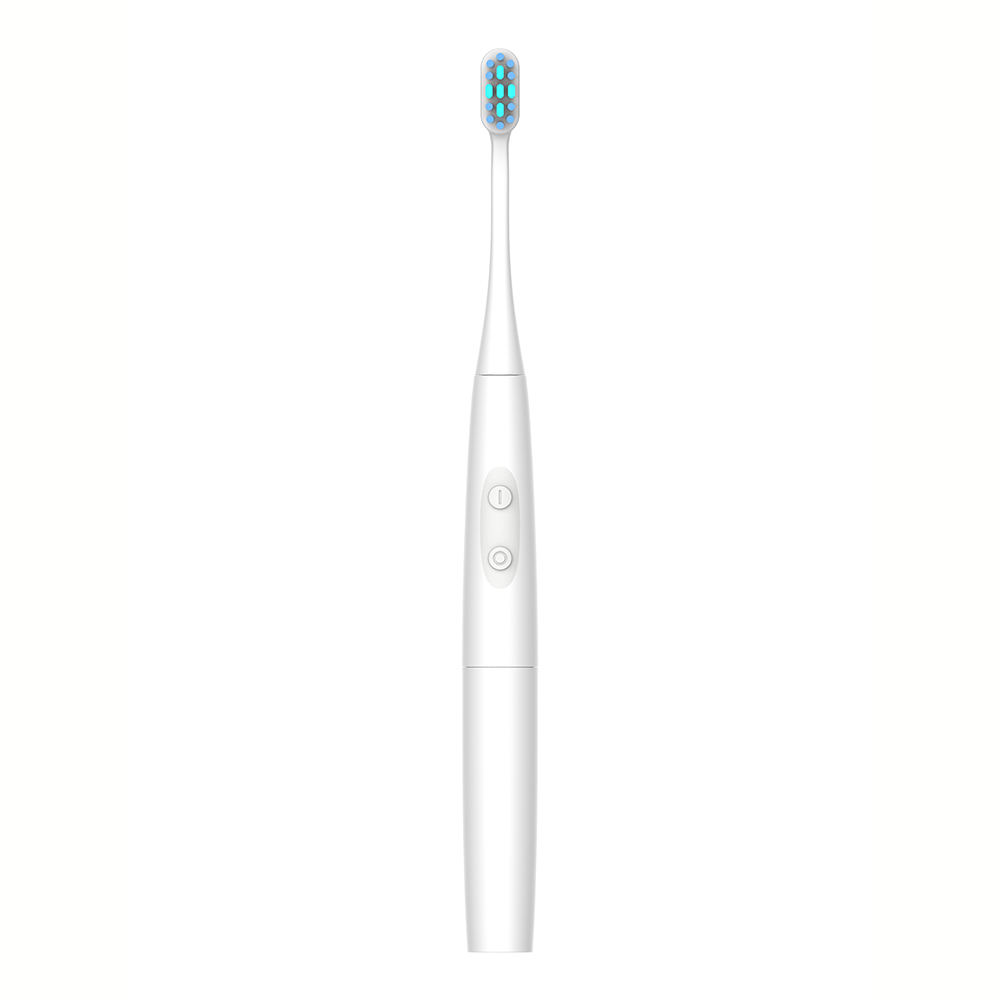 Battery Sonic Toothbrush 582