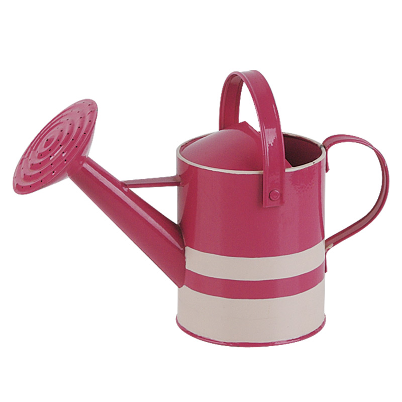 Colorful galvanized Garden Watering Can bucket Metal Material Powder Coated Watering Can Epoxy Garden Watering Can