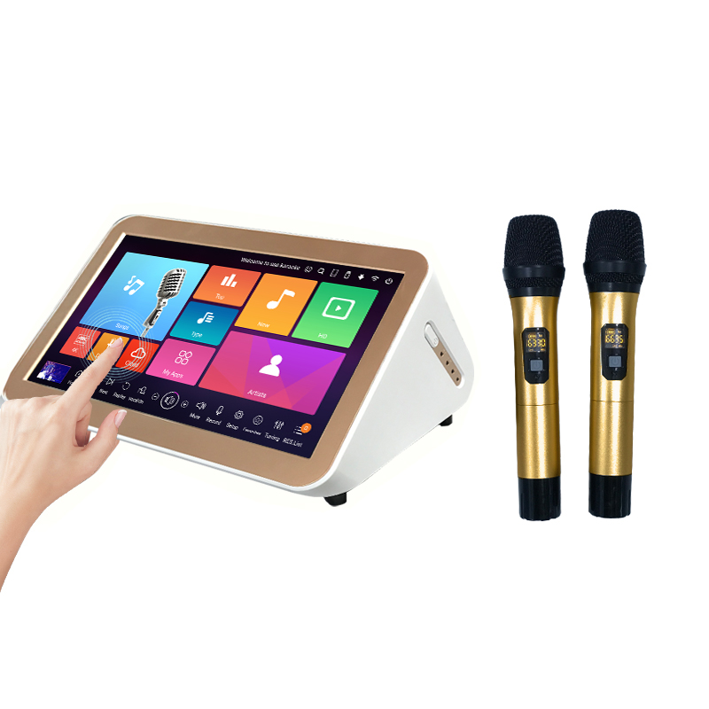 15.6 inch Karaoke system home player with UHF wireless microphone portable machine powered mixer amplifier 40W songs