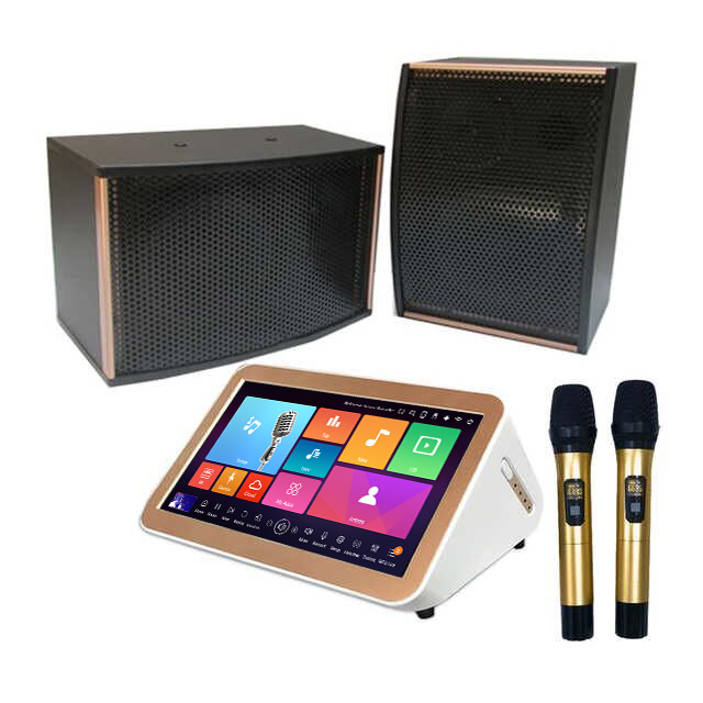 Sanjin Audio-Visual Technology Co.,Ltd – Karaoke player 1