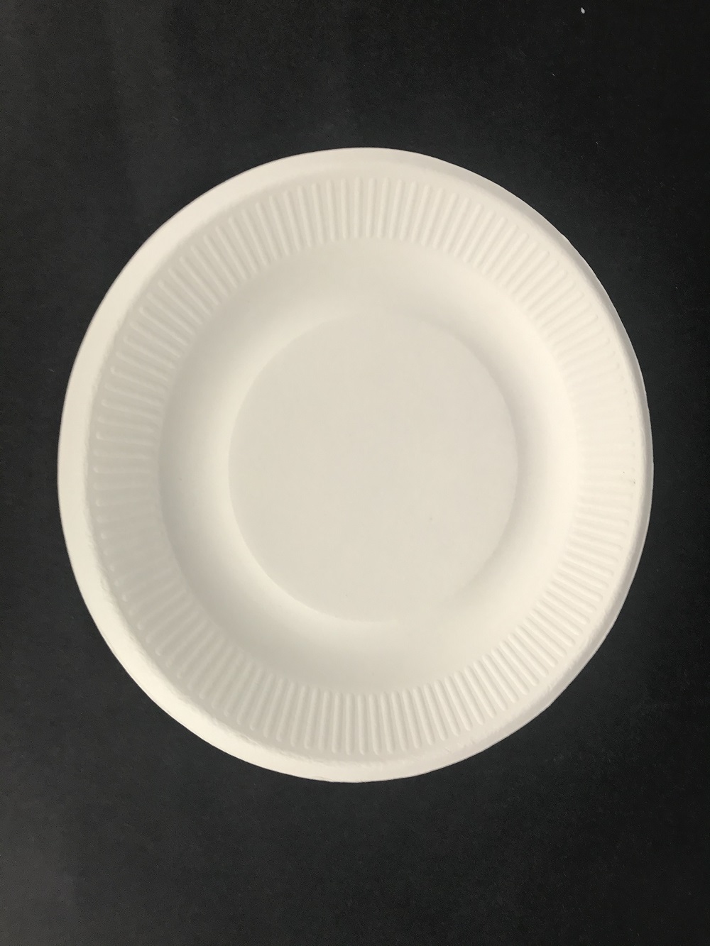 Disposable sugarcane plate