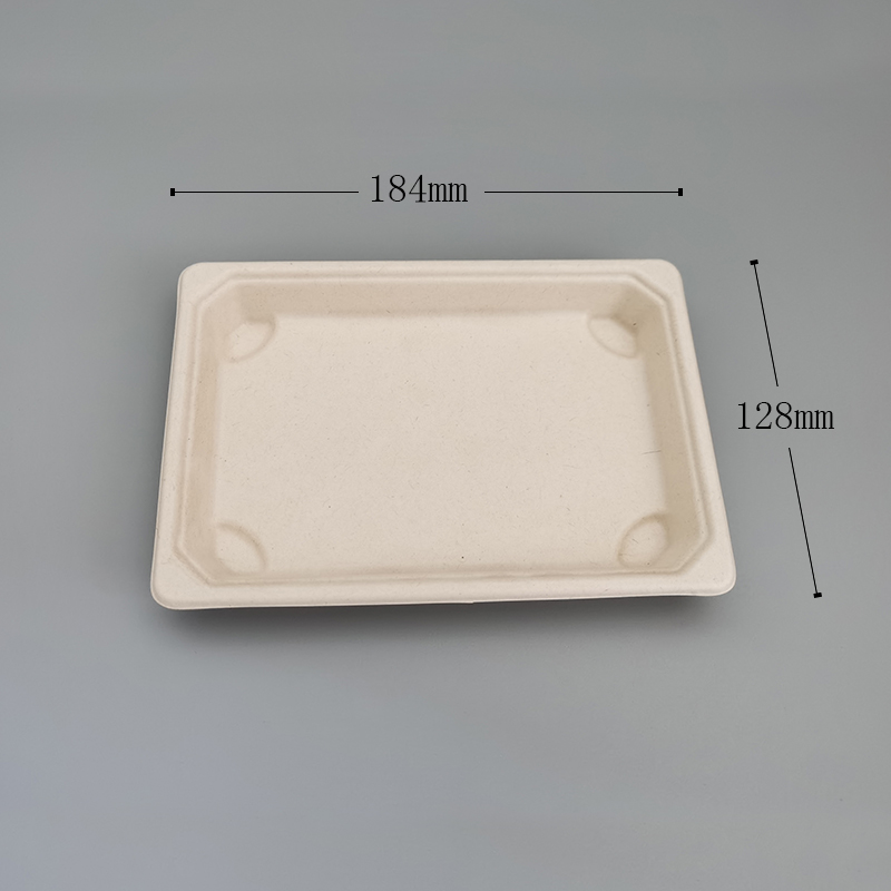 Sushi Tray -Small Rect 2