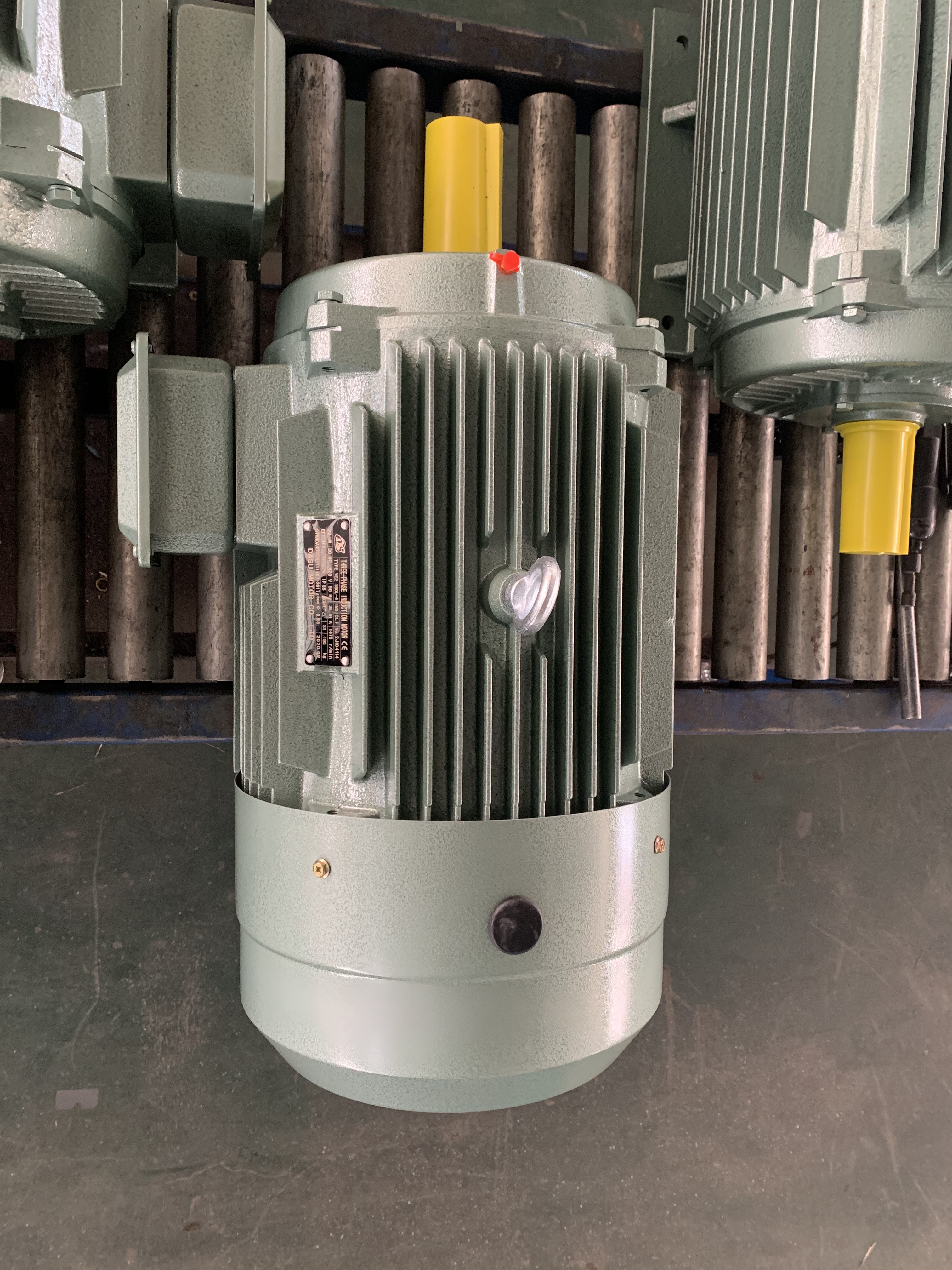 LISU MOTOR CO., LTD. – Other Motor and Accessories 3
