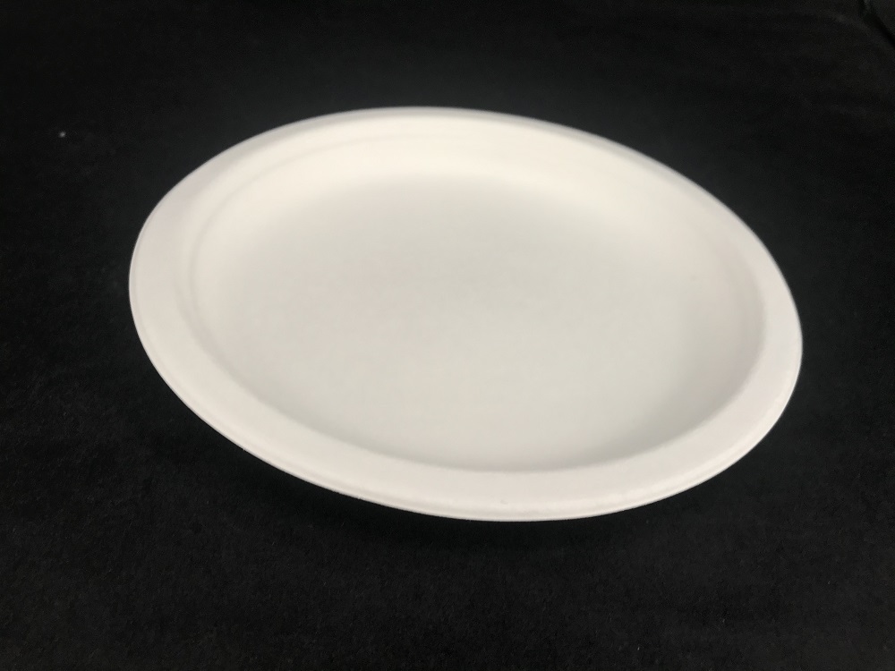 Disposable sugarcane plate