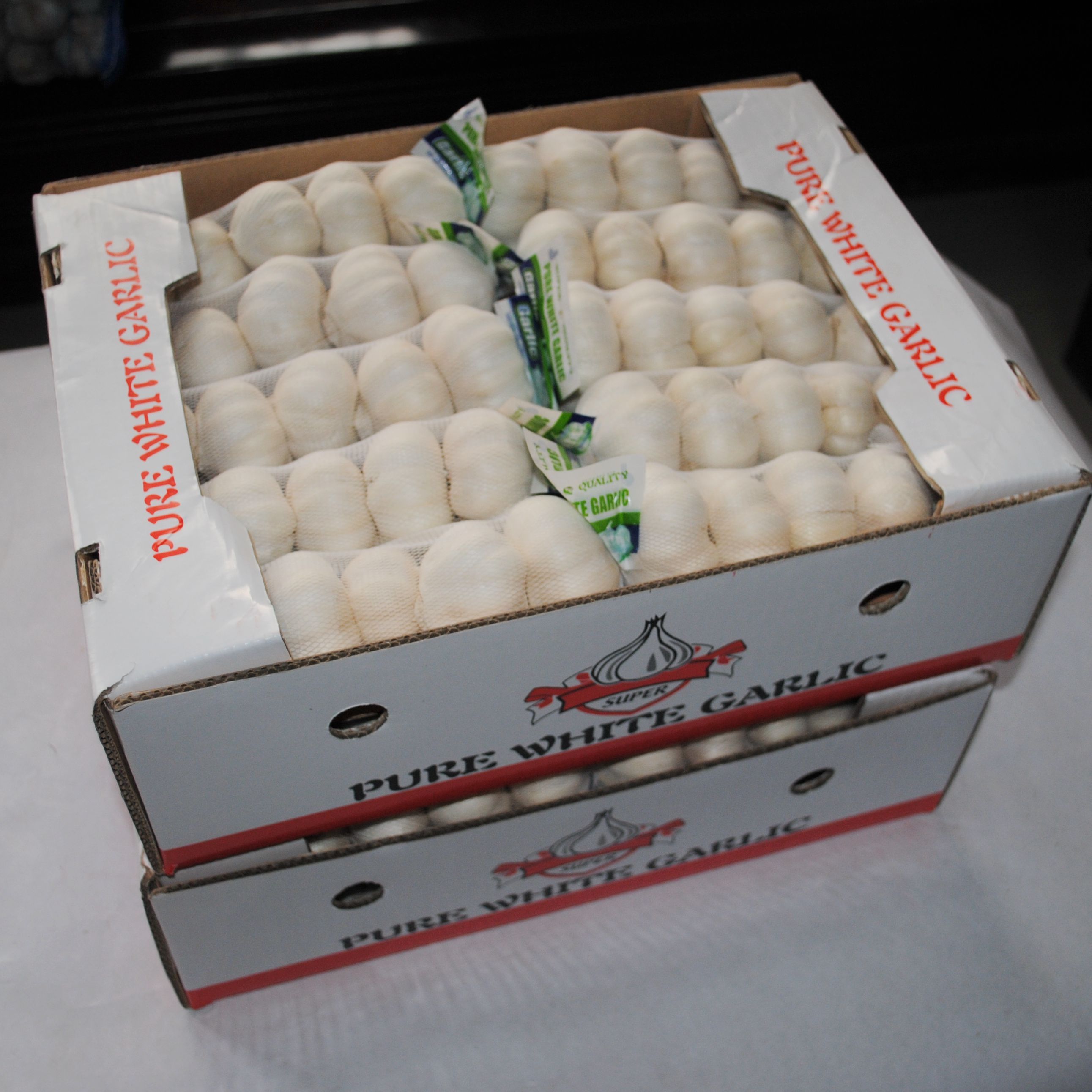 wholesale organic white fresh garlic