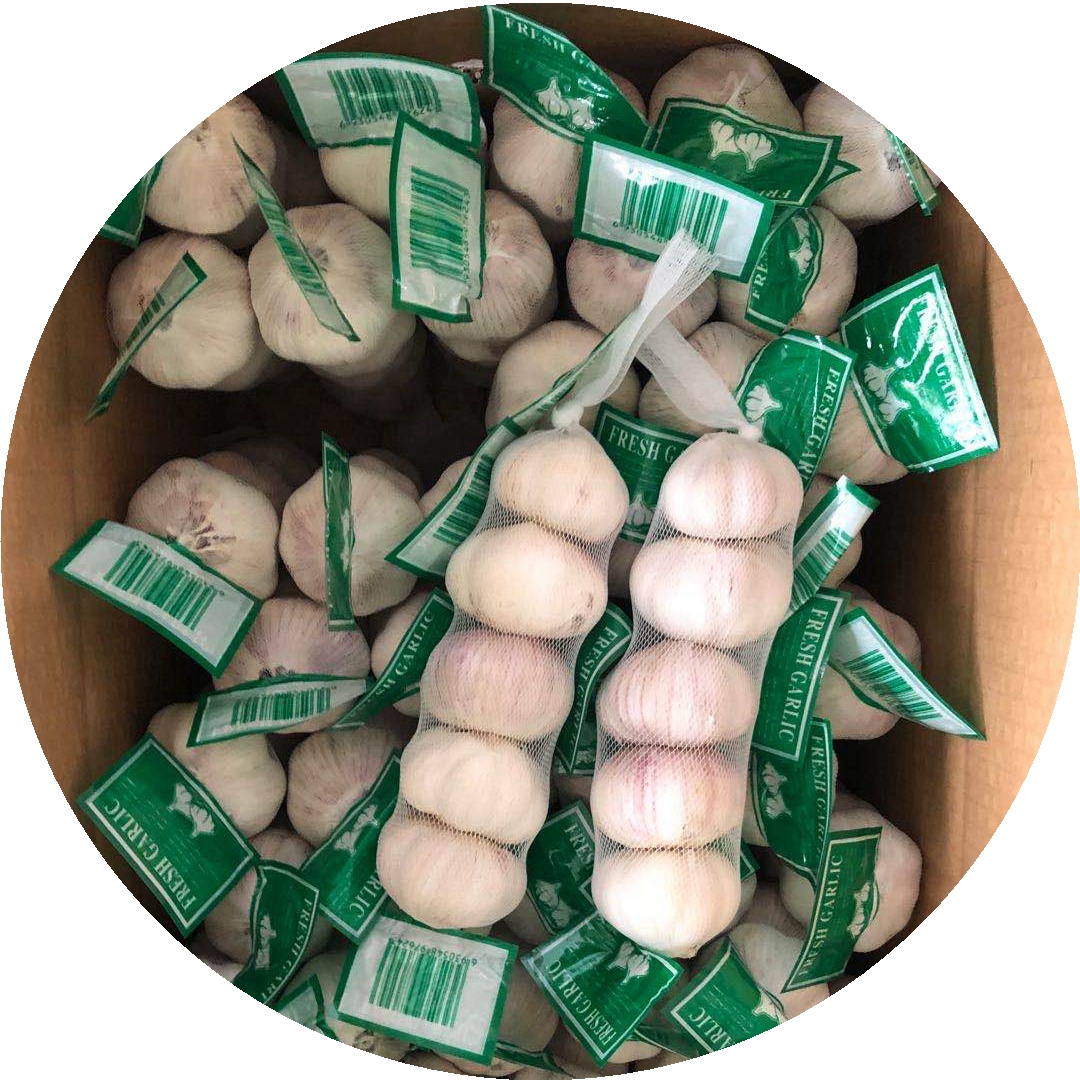 Import normal white pure white garlic