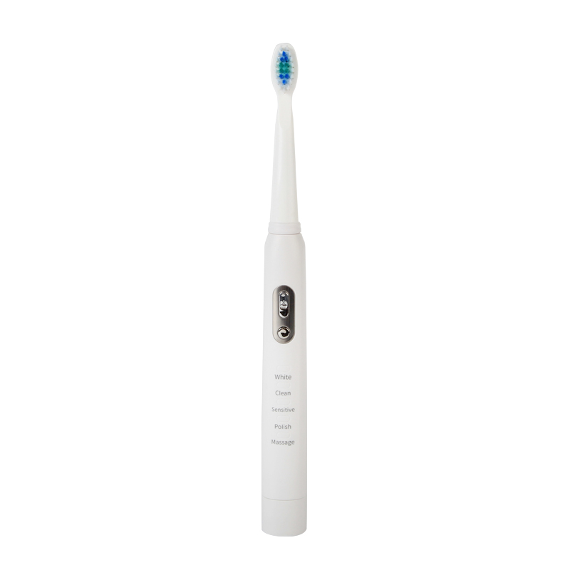 Battery Sonic Toothbrush 2011