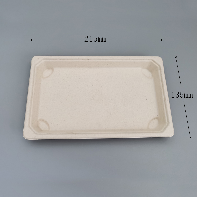 Sushi Tray -Medium Rect 2