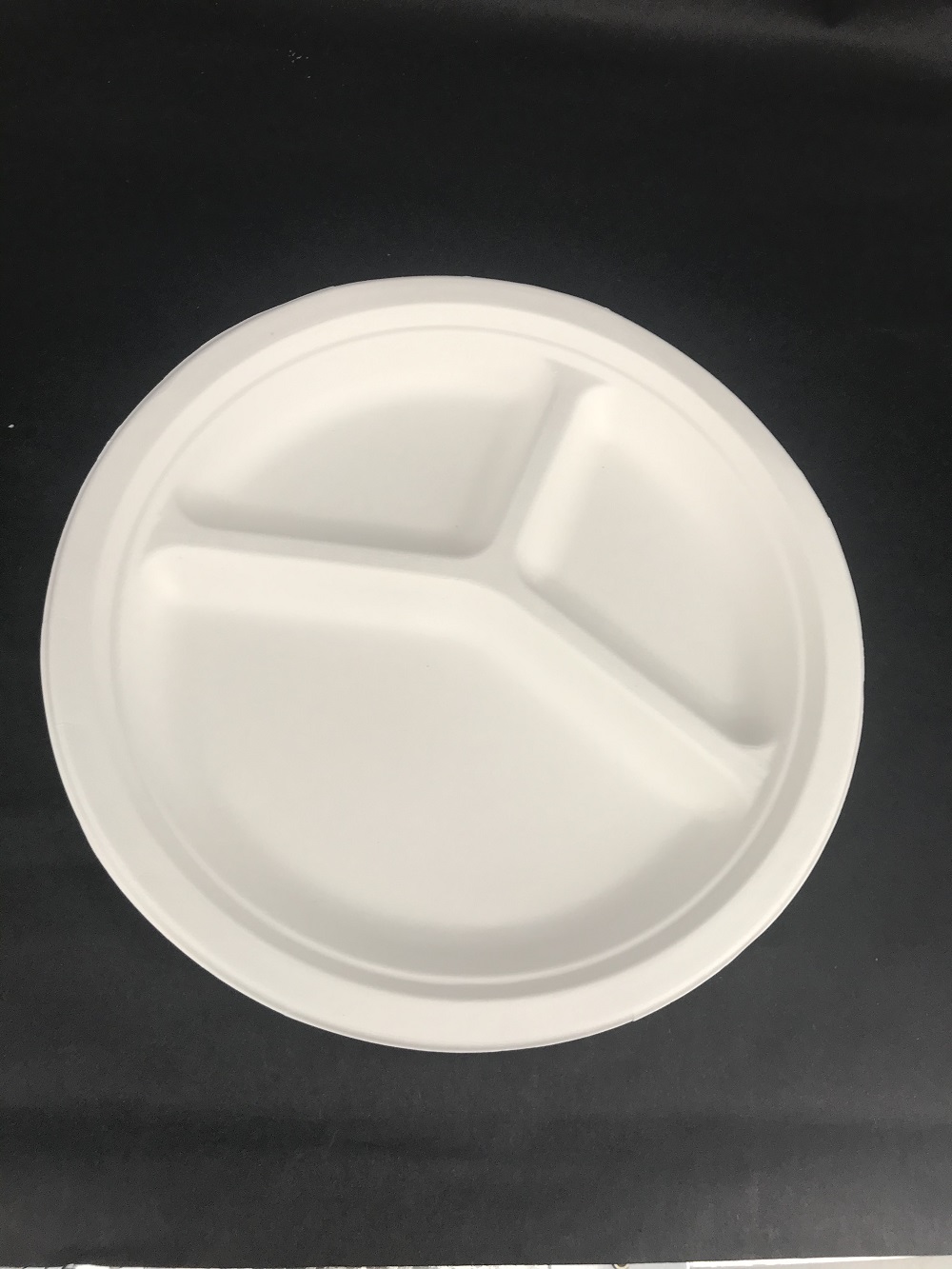 Disposable sugarcane plate