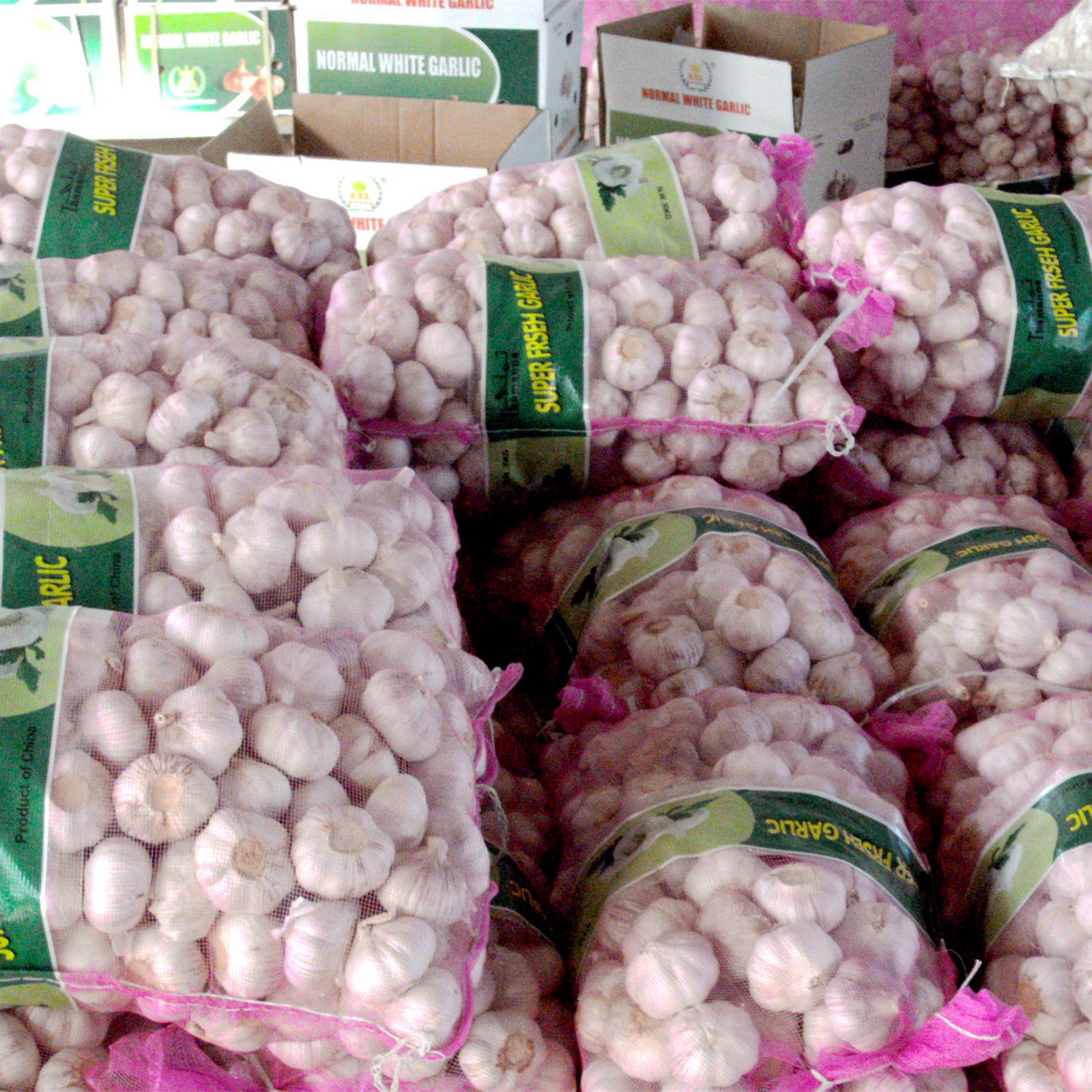 red garlic in 10kg mesh bag