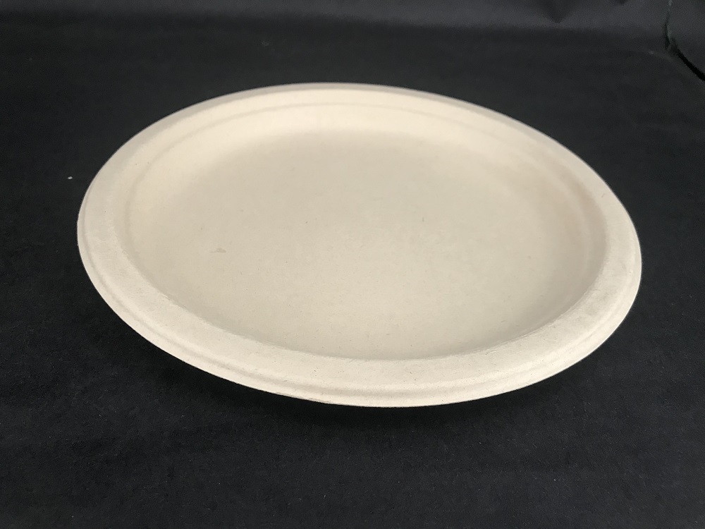 Disposable sugarcane plate