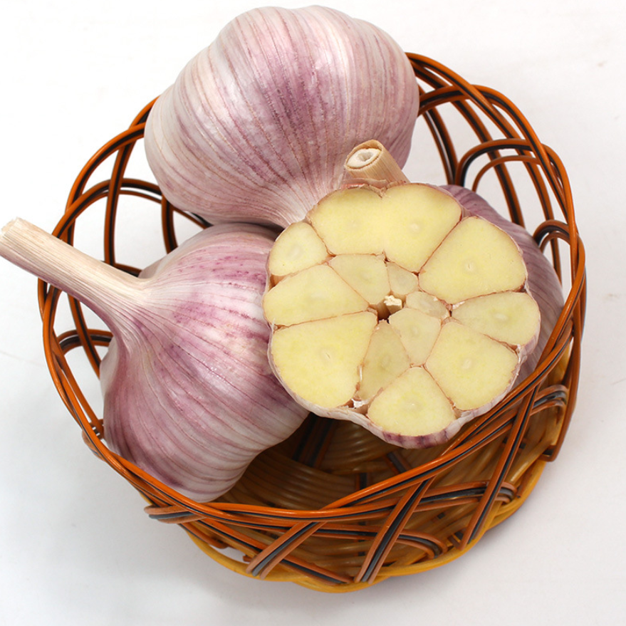 China Fresh Garlic With Cheapest Price