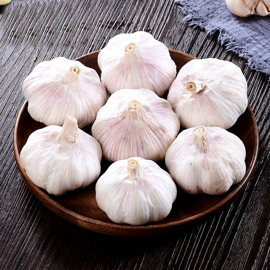 factory supply normal white garlic 5.0cm 55cm