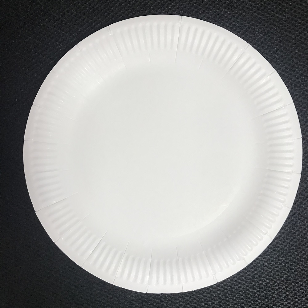 Disposable paper plate