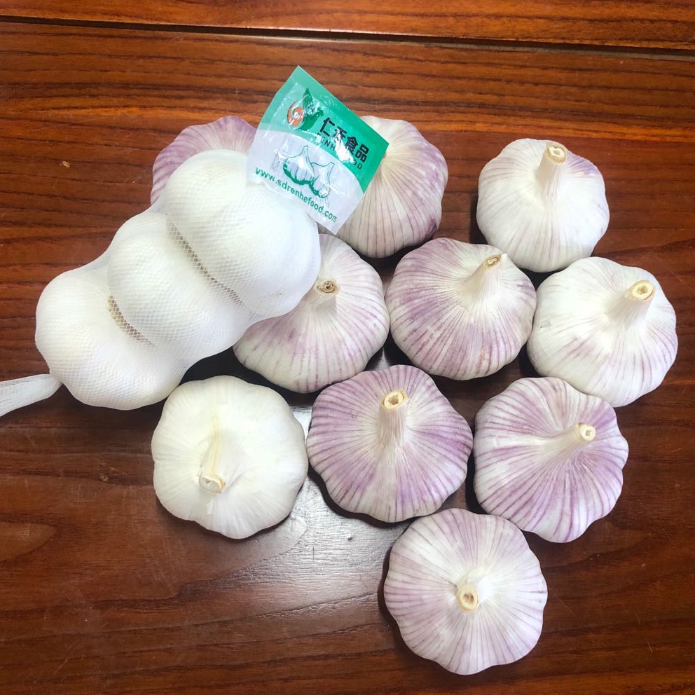 Ail Alho Ajo China Fresh Garlic With Discount