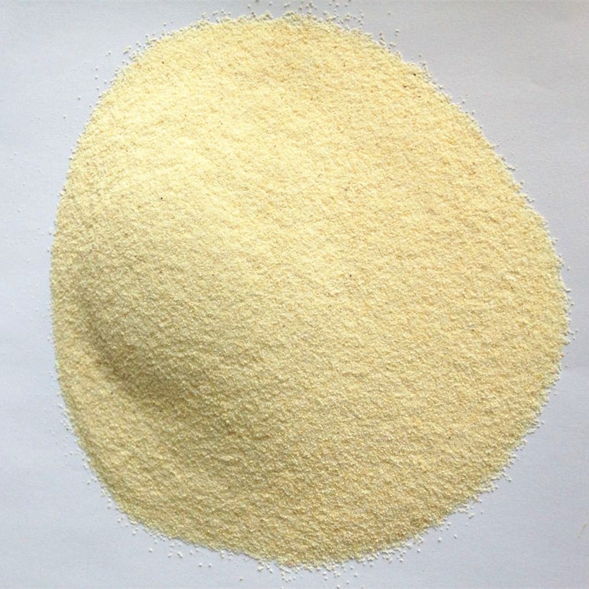 Dehydrated Garlic Granules AD Garlic Minced for Sale USA EU