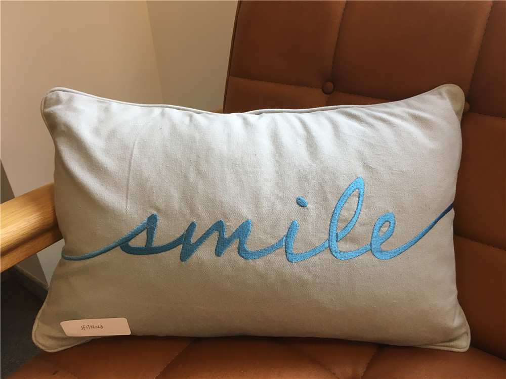 An Embroidered cushion (pillow)