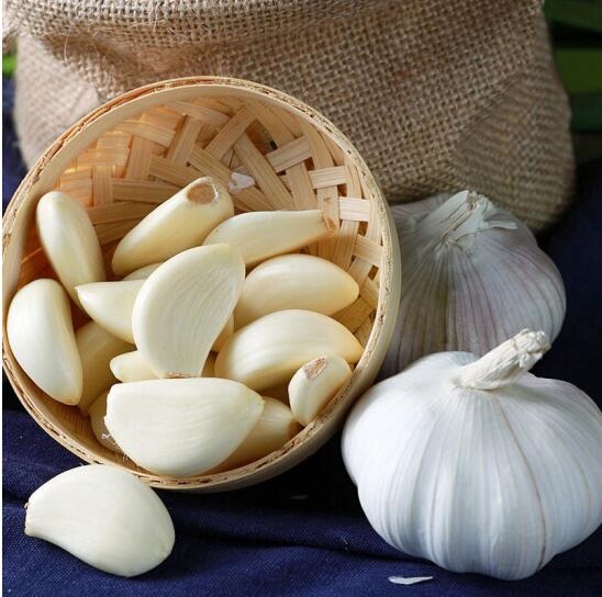 Fresh White Garlic Exporters in Jining Shandong China