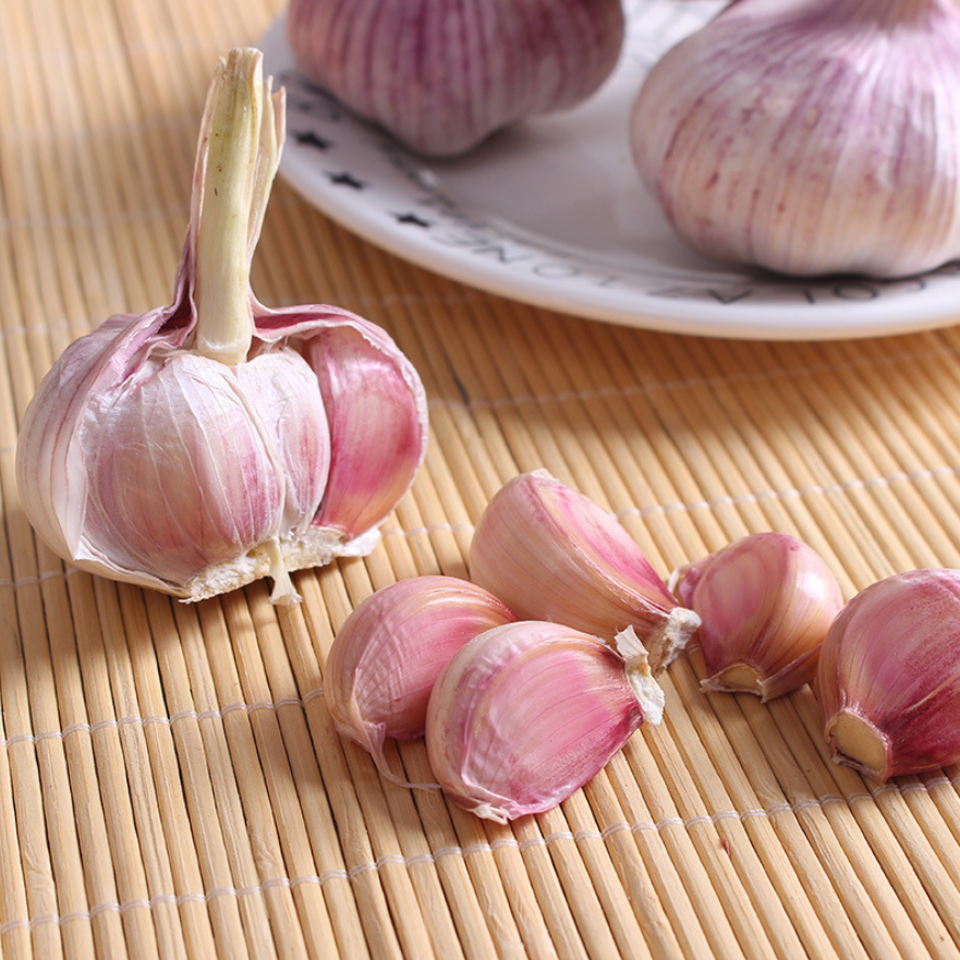 Chinese Normal White Garlic 2020 Crop