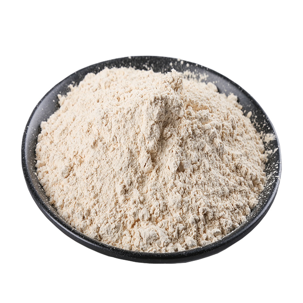2020 New Crop Toasted Powdered Garlic from China