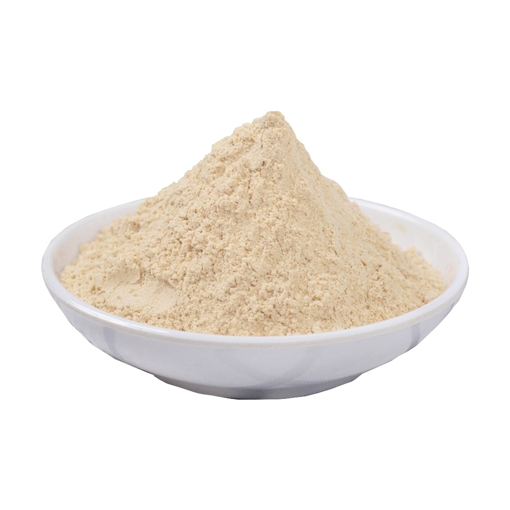 China supplier wholesale ground spicy garlic powder