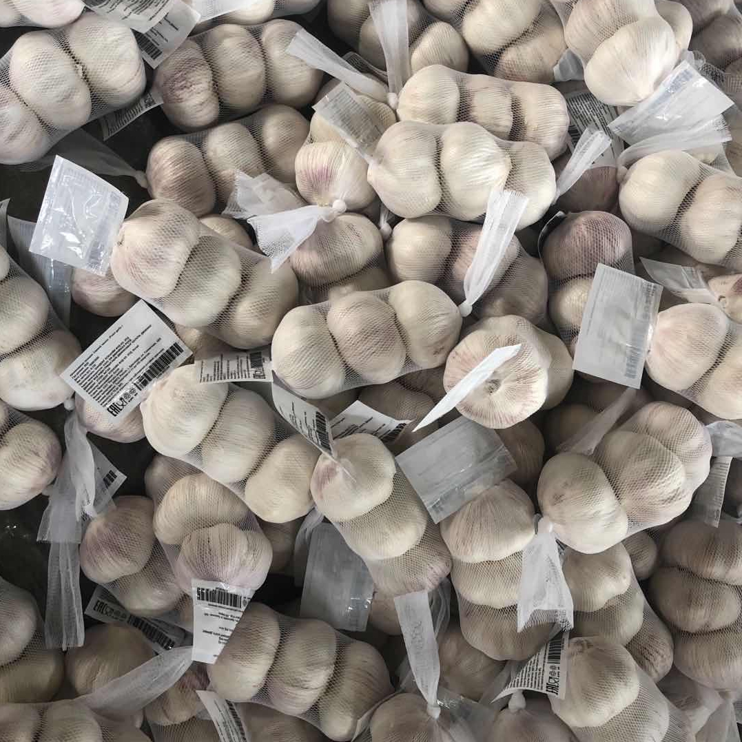 3p Chinese white garlic for sale Russia