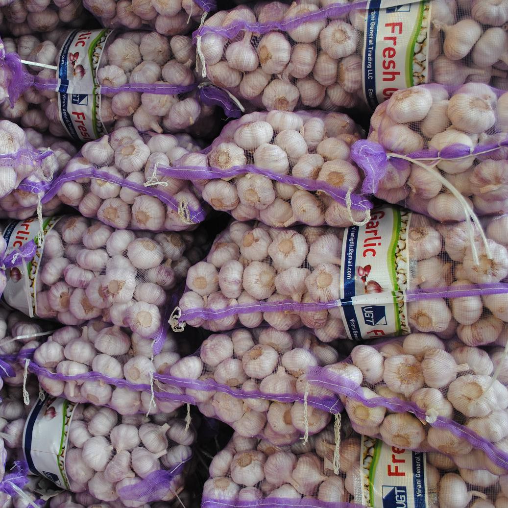 Factory direct selling normal white garlic price in Pakistan