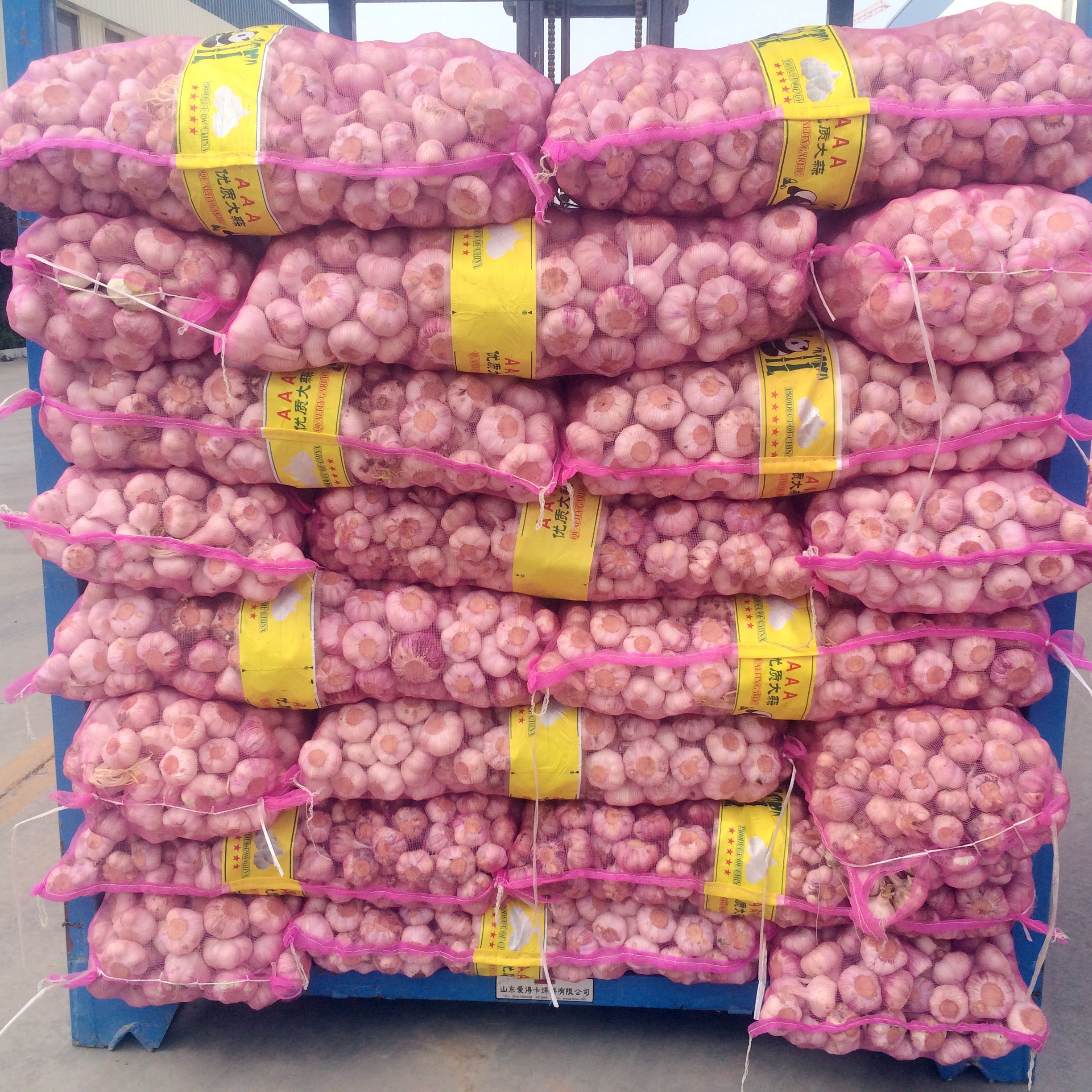 20kg mesh bag cold storage garlic for bangladesh market