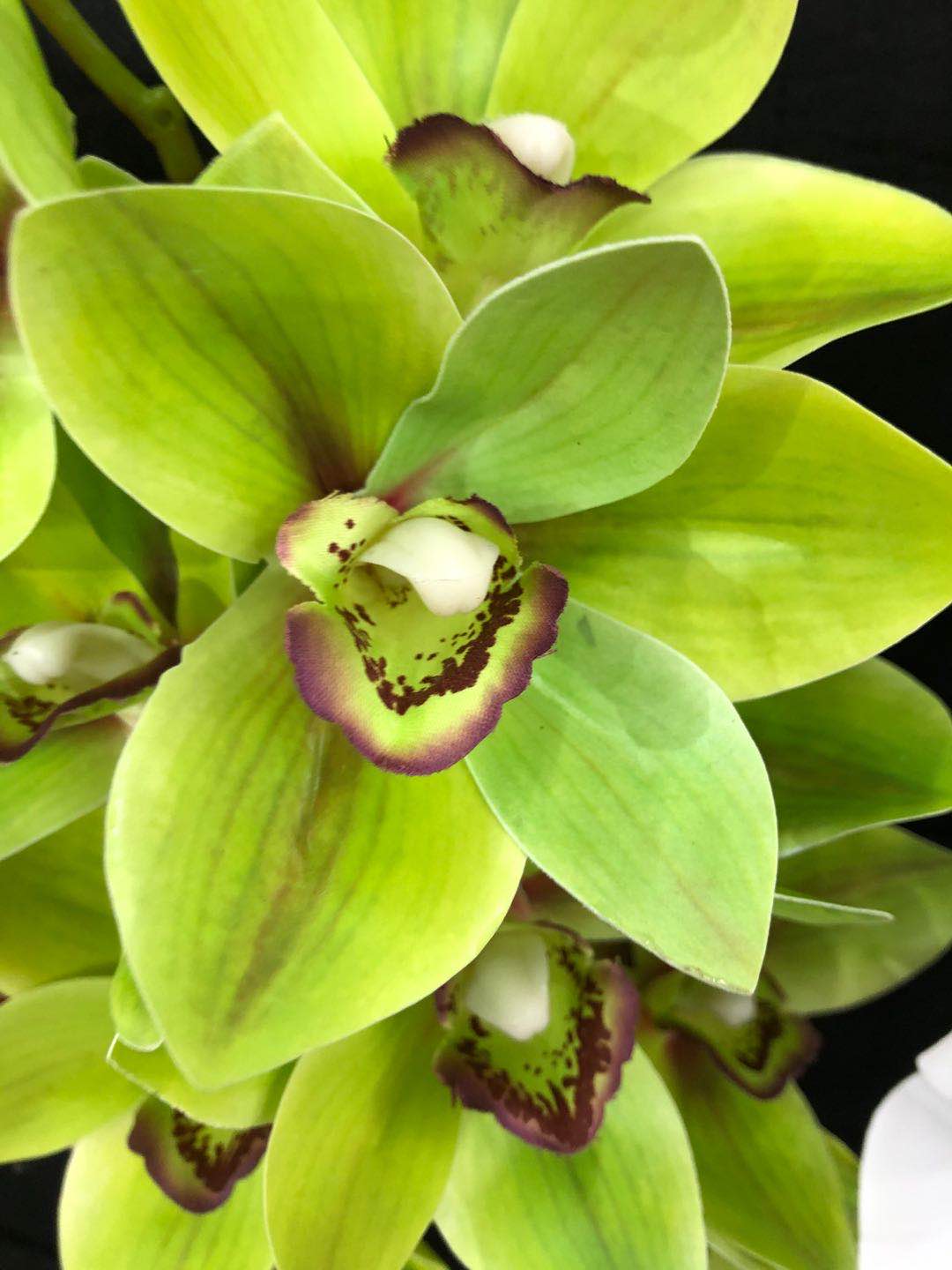 Flower Art (Tianjin) Import and Export Trading Co., Ltd. – artificial trees 2