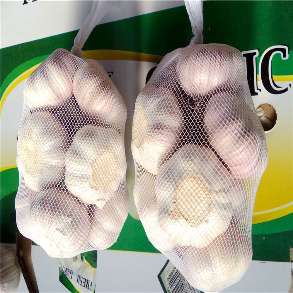 China organic fresh white garlic in cold store