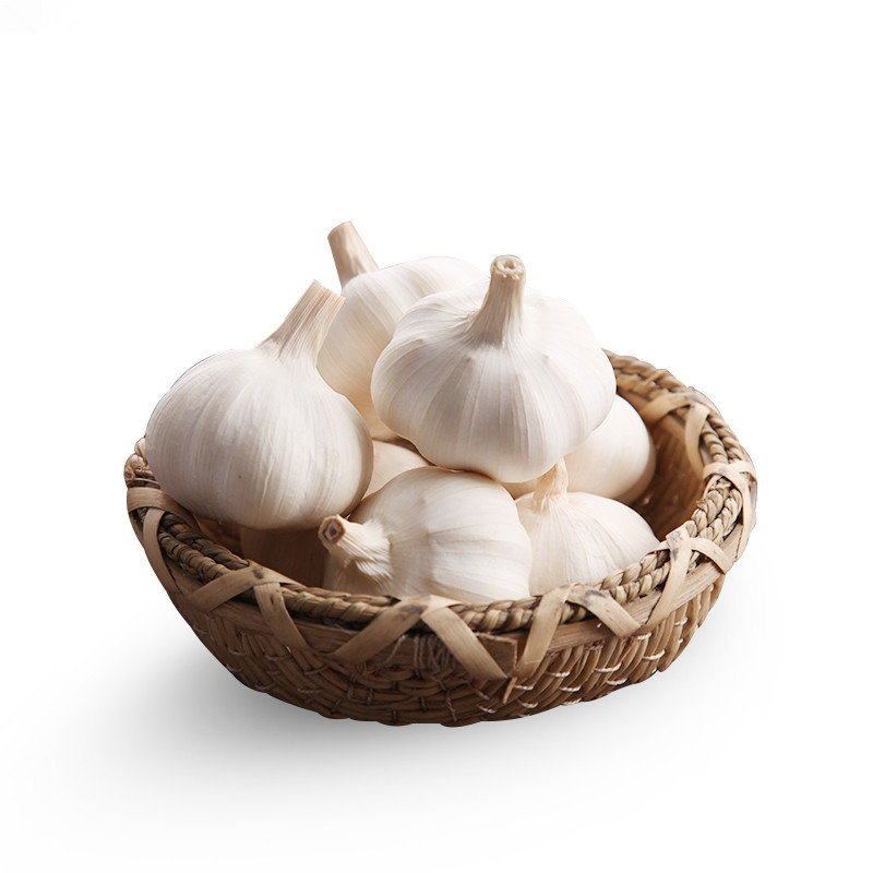 Top grade 5.0cm to 5.5 cm China fresh garlic price