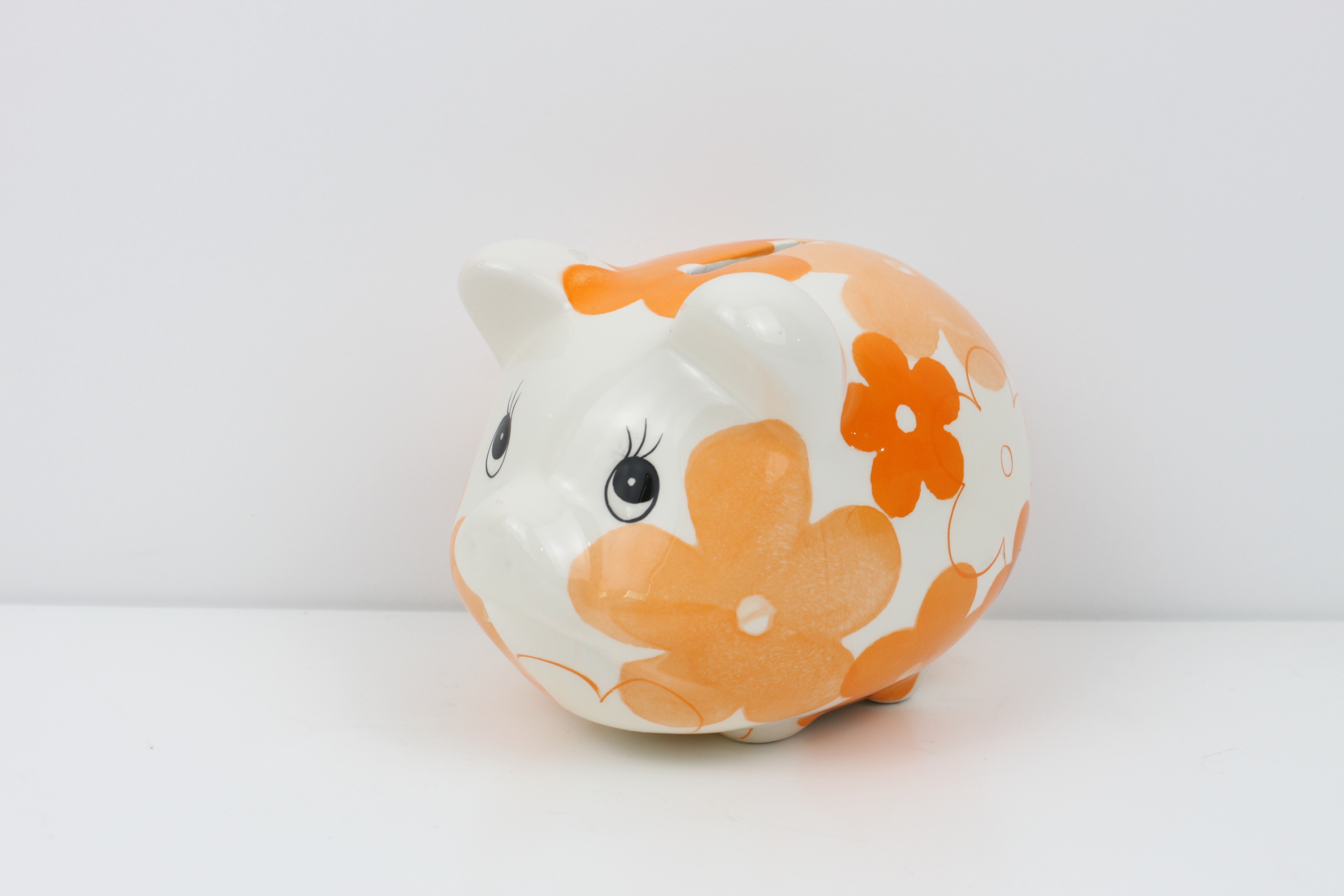 Ceramic Piggy Bank