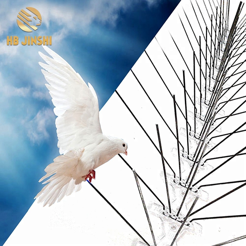 304 Stainless Steel Pigeon Control anti bird spikes