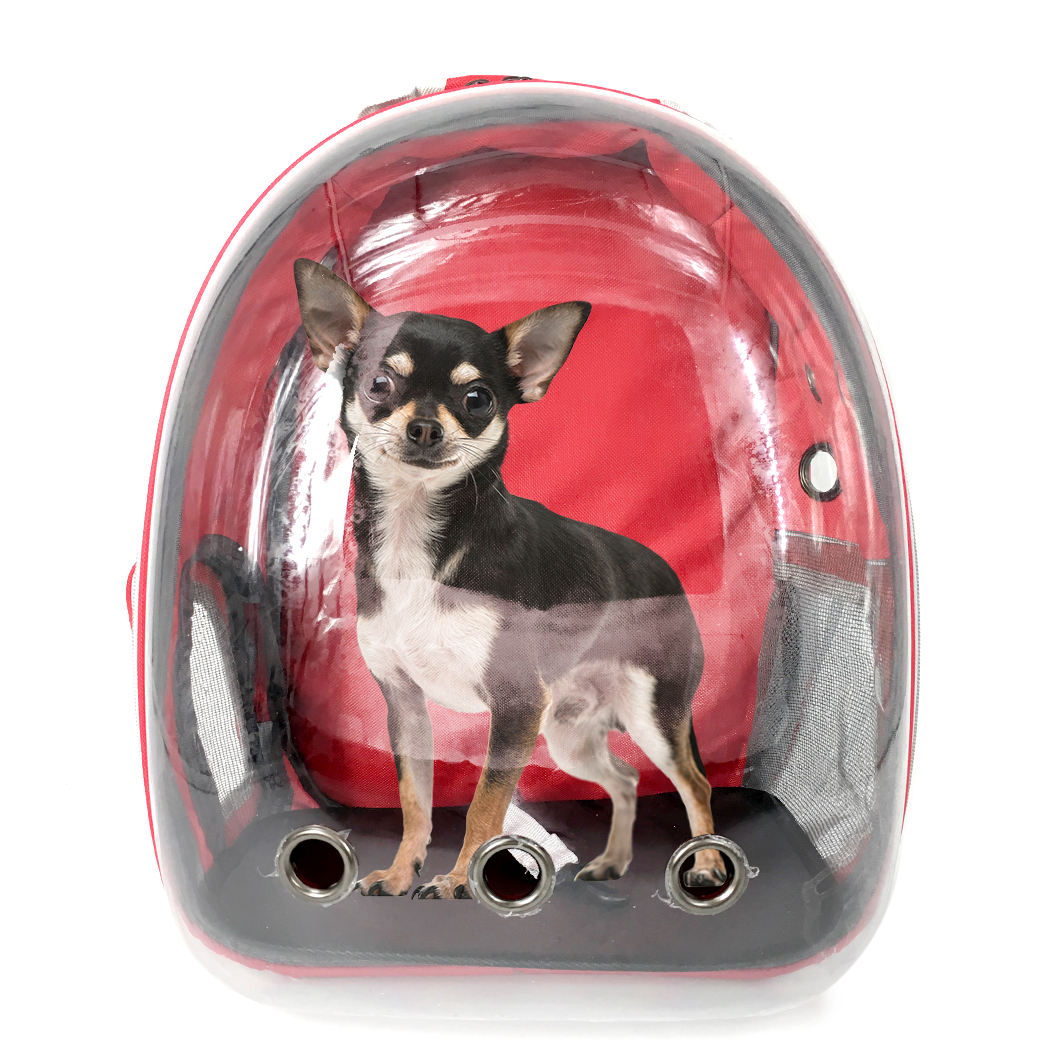 Capsule portable pet carrying backpack