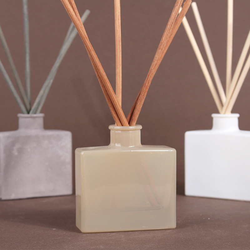 RAINCOAST 17702 100ML Fragrance Reed Diffuser For Home Fragrance And Home Decoration