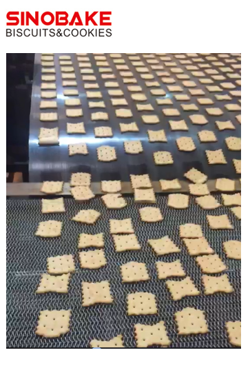 Sinobake Irregular biscuit production line