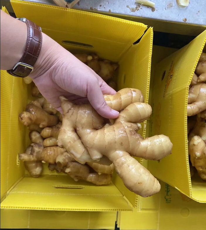 Fresh Ginger