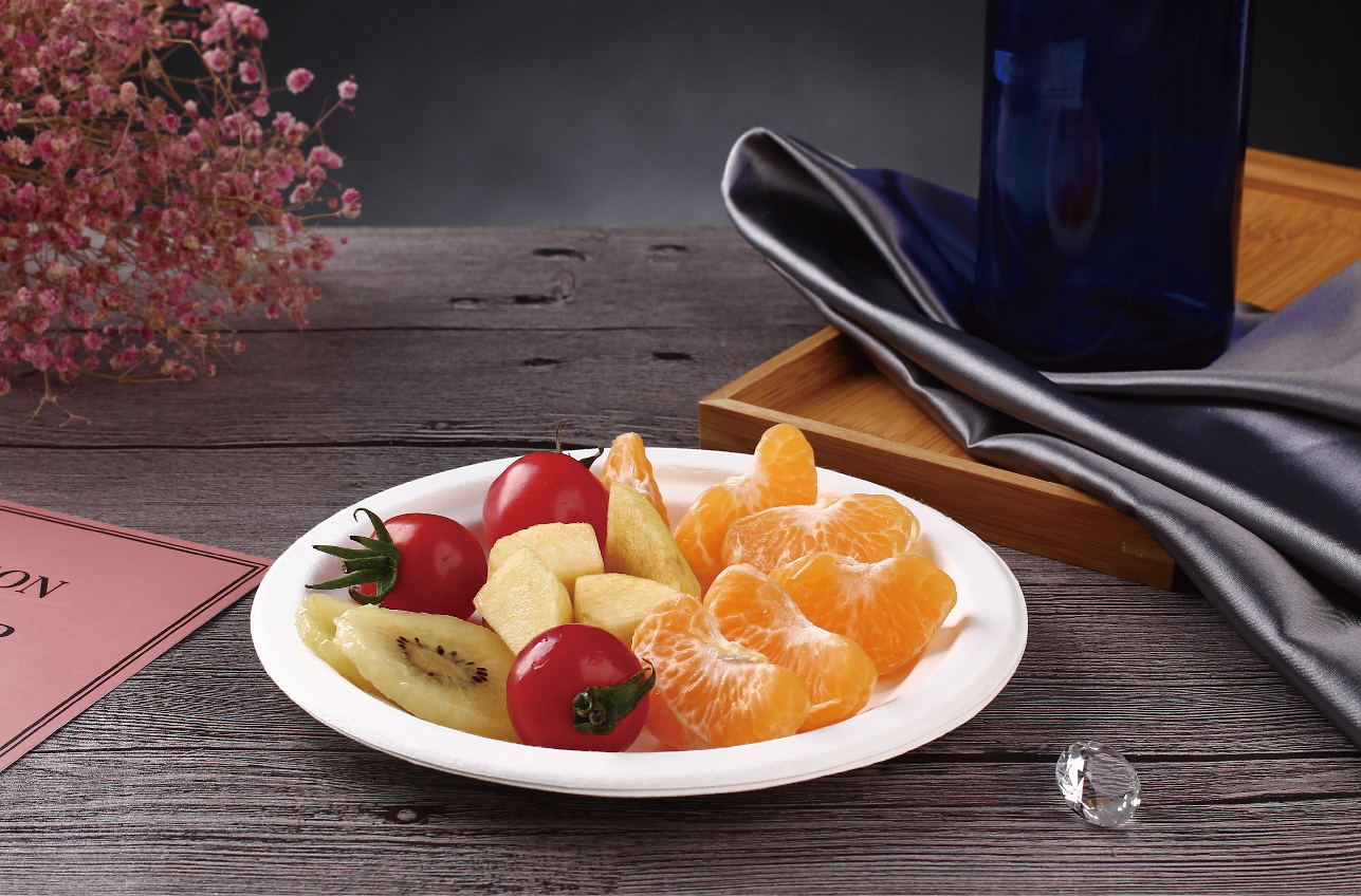 Disposable Sugarcan pulp tablware