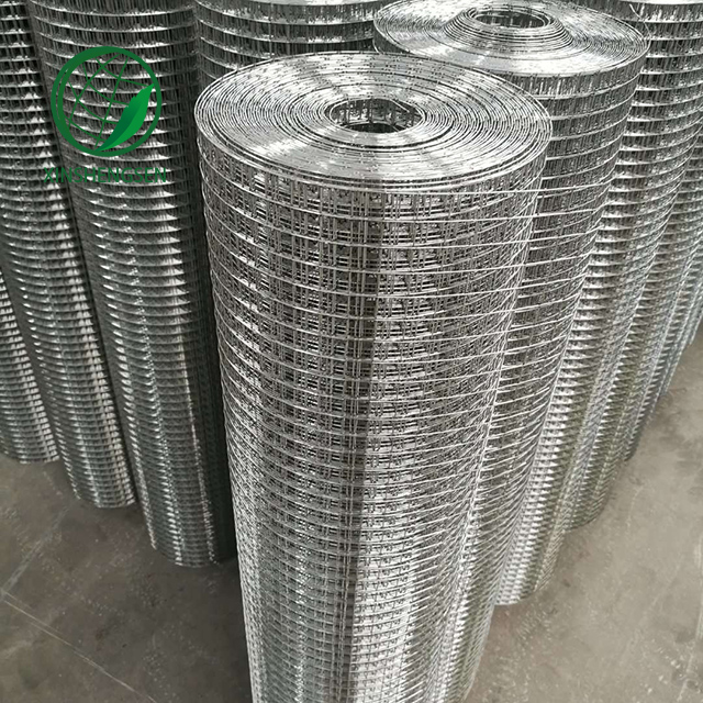 Welded Wire Mesh Galvanized Welded Wire Mesh Roll/Gi Wire Mesh