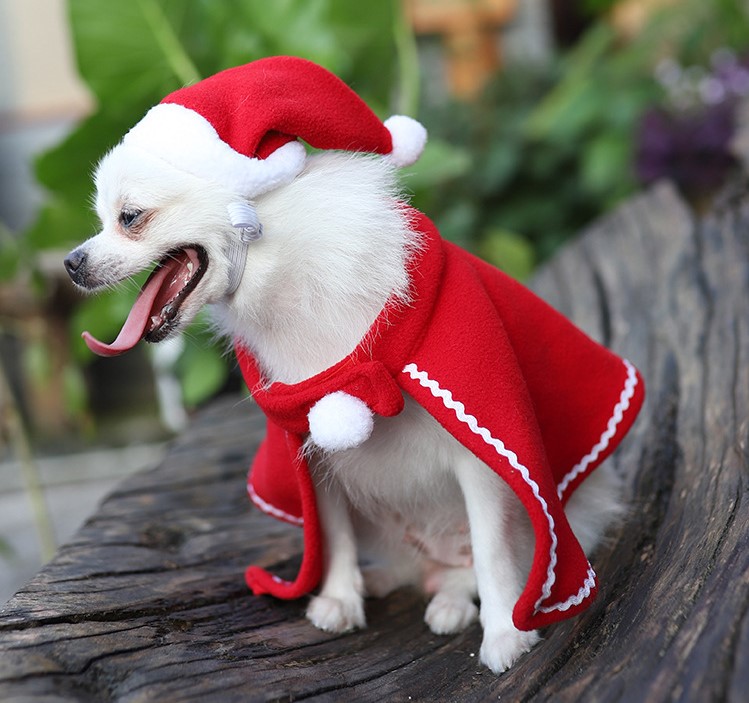 ******Christmas Costume for Puppy puppy cloak pet santa hat