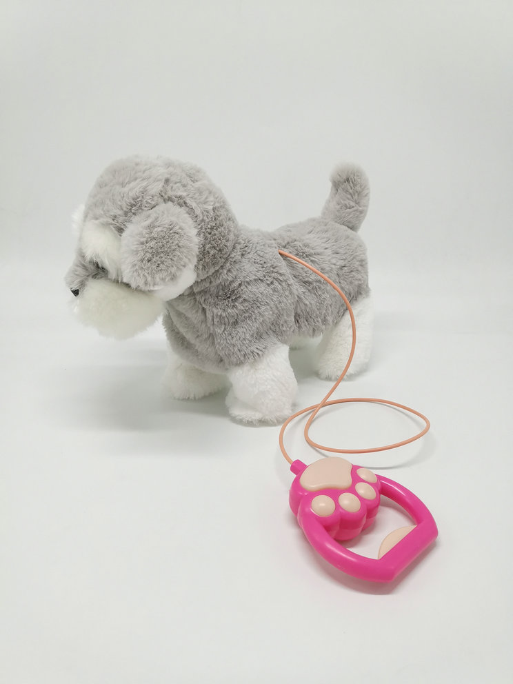 walking and music dog