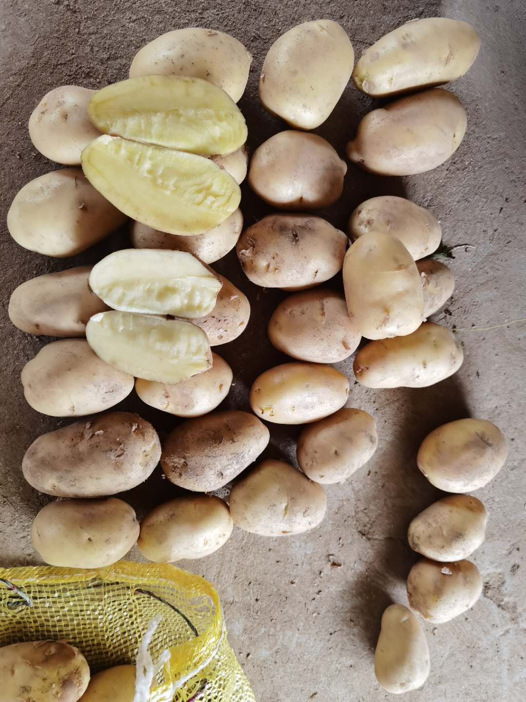 China export quality fresh potato 80-150g