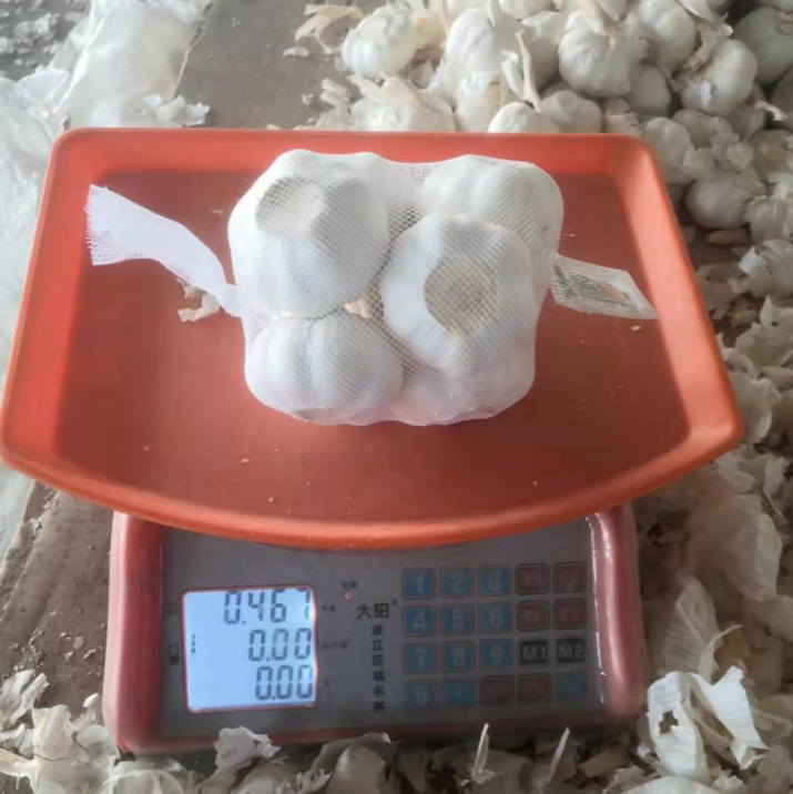 China fresh garlic pure white garlic 500g small pack