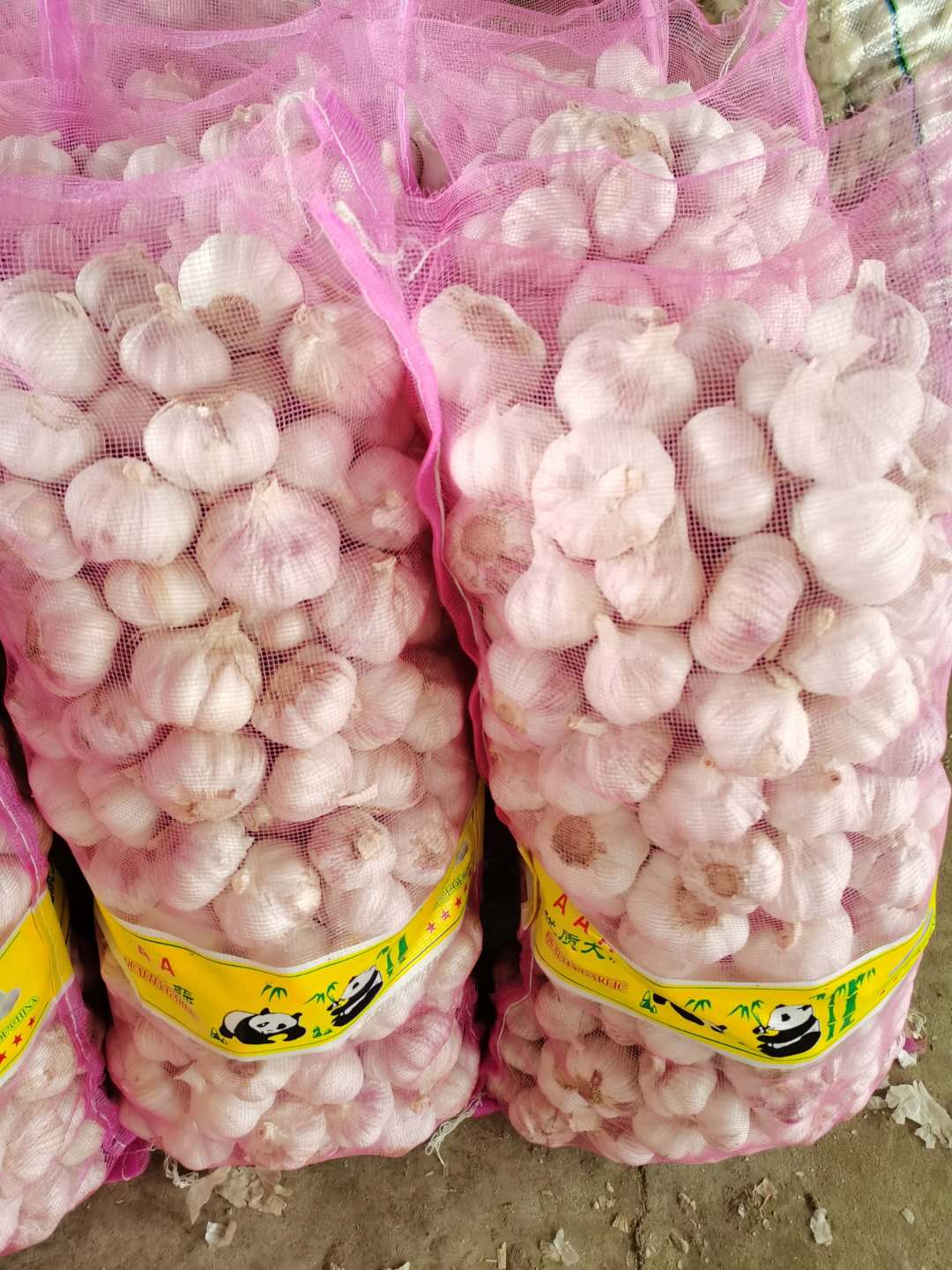 China export quality fresh garlic 5-6cm