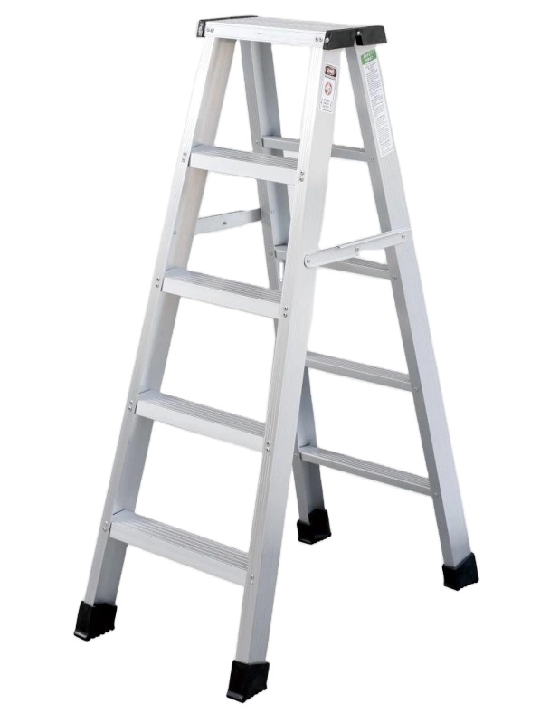 Double sided ladder