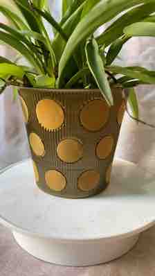 Plastic Cover Pot